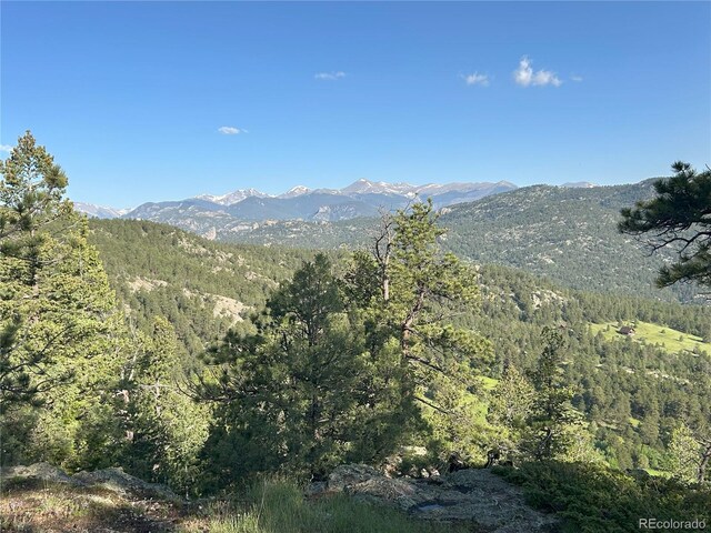 591599 Soul Shine Rd, Drake, CO 80515 - photo 24