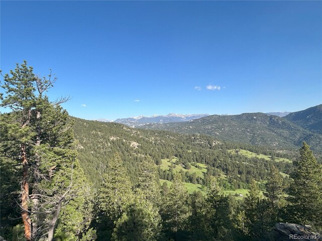591599 Soul Shine Rd, Drake, CO 80515 - photo 25