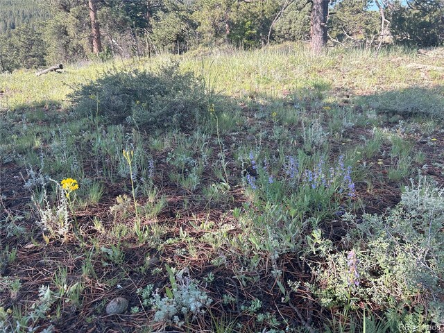 591599 Soul Shine Rd, Drake, CO 80515 - photo 26