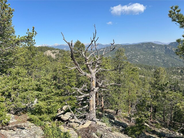 591599 Soul Shine Rd, Drake, CO 80515 - photo 27