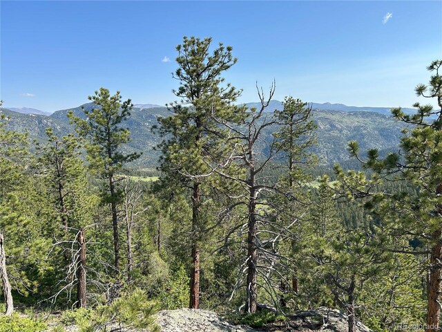 591599 Soul Shine Rd, Drake, CO 80515 - photo 29
