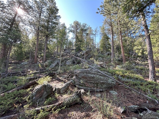 591599 Soul Shine Rd, Drake, CO 80515 - photo 30