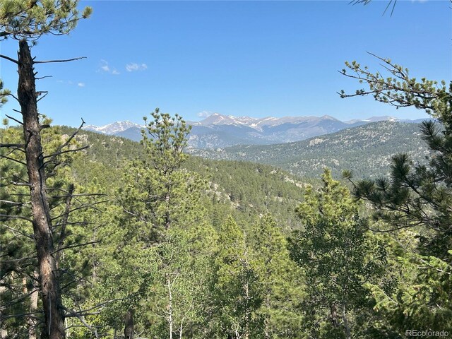 591599 Soul Shine Rd, Drake, CO 80515 - photo 31