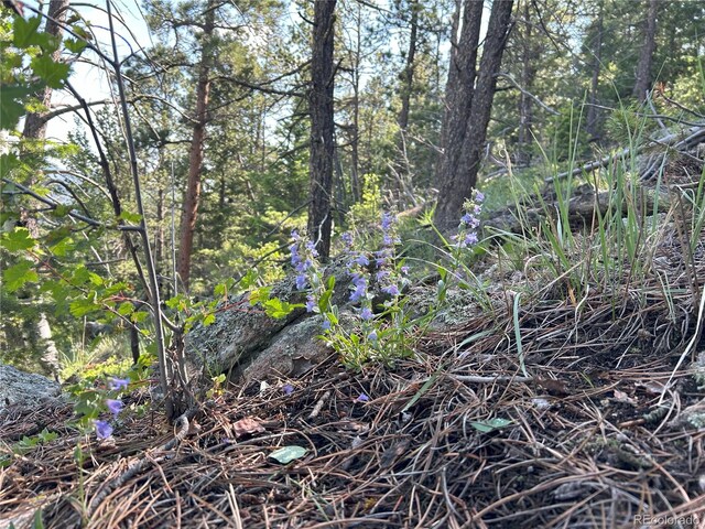 591599 Soul Shine Rd, Drake, CO 80515 - photo 32