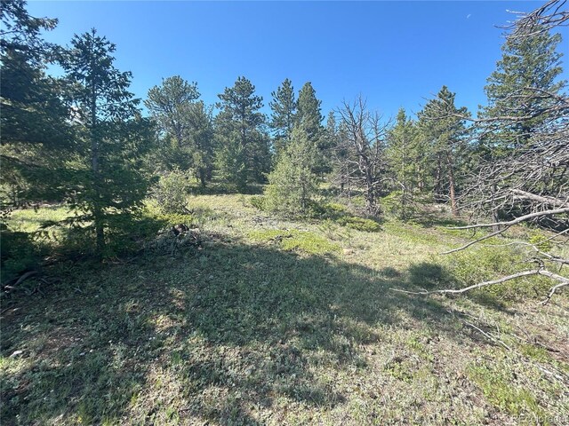 591599 Soul Shine Rd, Drake, CO 80515 - photo 33