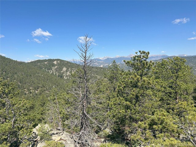 591599 Soul Shine Rd, Drake, CO 80515 - photo 34
