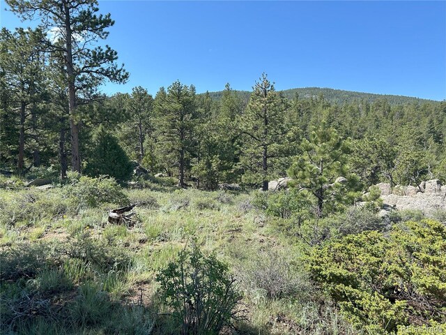 591599 Soul Shine Rd, Drake, CO 80515 - photo 35