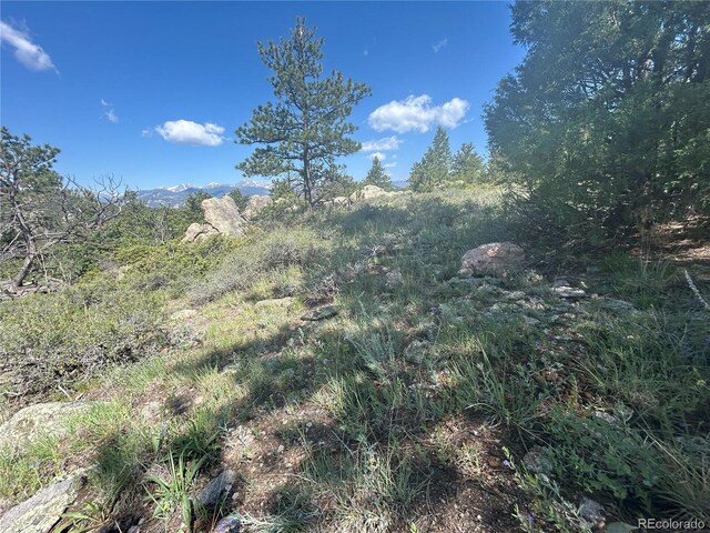 591599 Soul Shine Rd, Drake, CO 80515 - photo 36