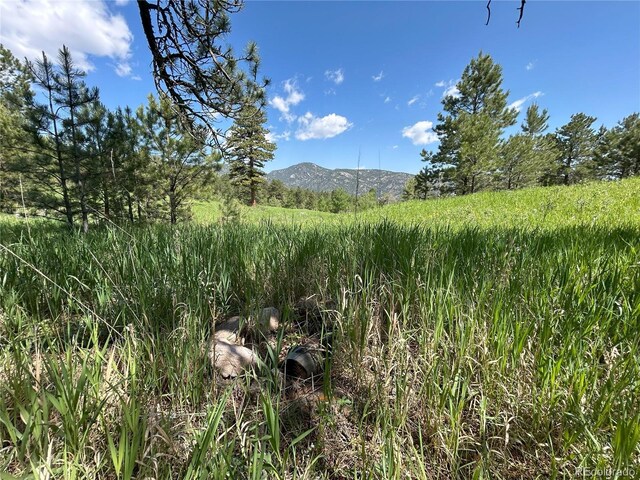 591599 Soul Shine Rd, Drake, CO 80515 - photo 37