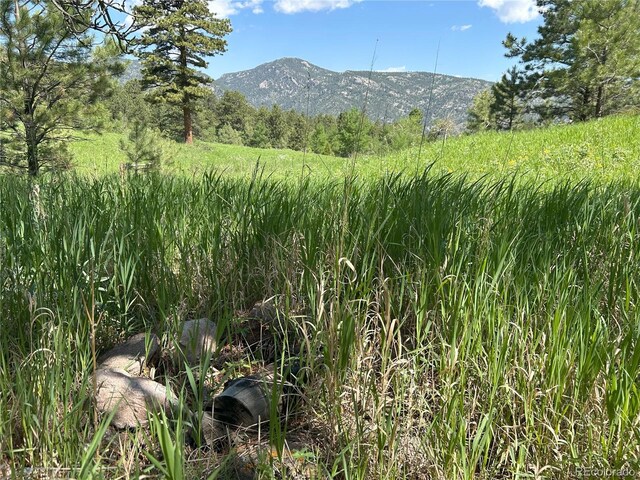 591599 Soul Shine Rd, Drake, CO 80515 - photo 38