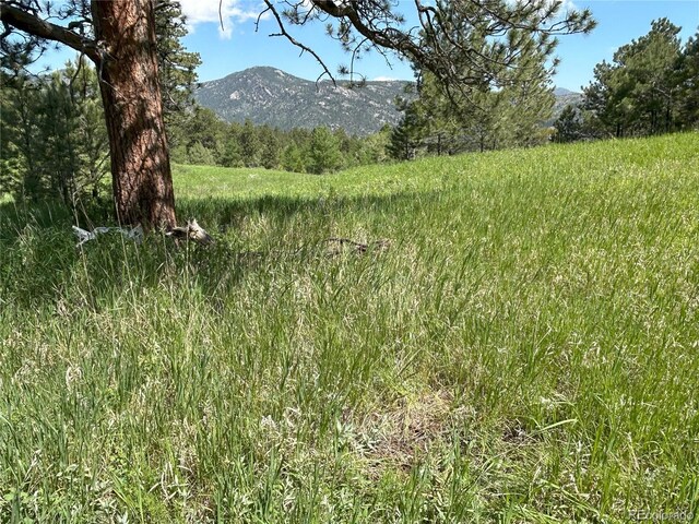 591599 Soul Shine Rd, Drake, CO 80515 - photo 40