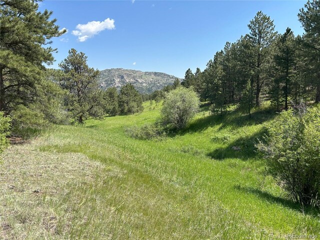 591599 Soul Shine Rd, Drake, CO 80515 - photo 41
