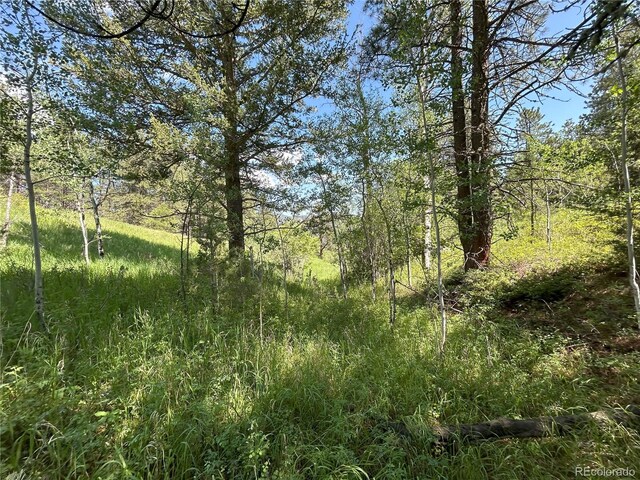 591599 Soul Shine Rd, Drake, CO 80515 - photo 42