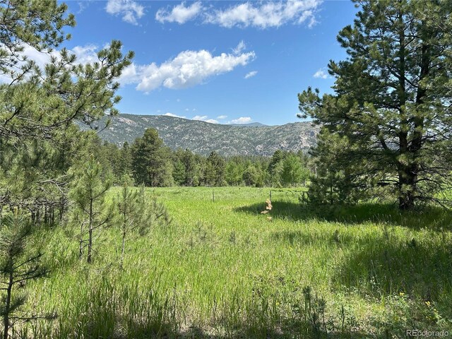 591599 Soul Shine Rd, Drake, CO 80515 - photo 46