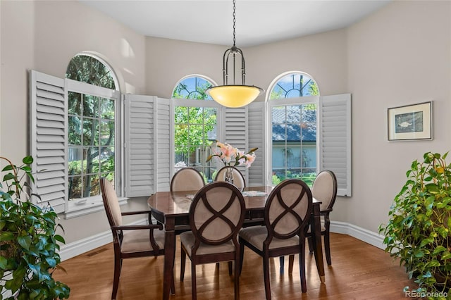 1160 Monaco Pkwy, Denver, CO 80220 - dining room featuring wood finished floors