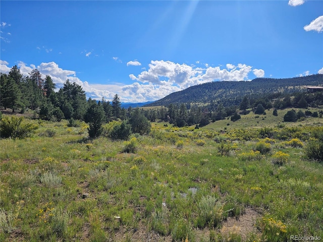 3527 Bear Creek Cir, South Fork CO, 81154 land for sale