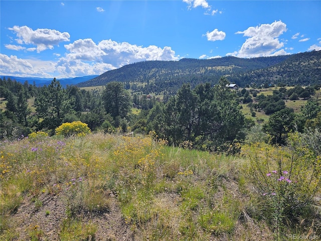 Listing photo 2 for 3527 Bear Creek Cir, South Fork CO 81154