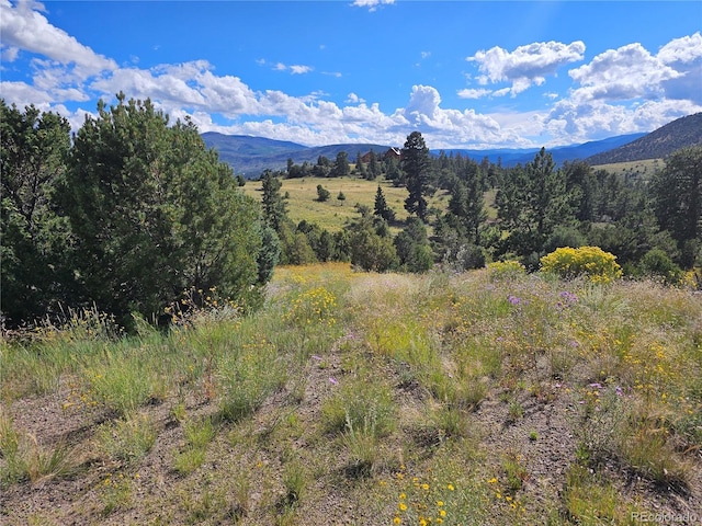 Listing photo 3 for 3527 Bear Creek Cir, South Fork CO 81154