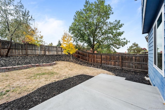 view of yard with a patio area