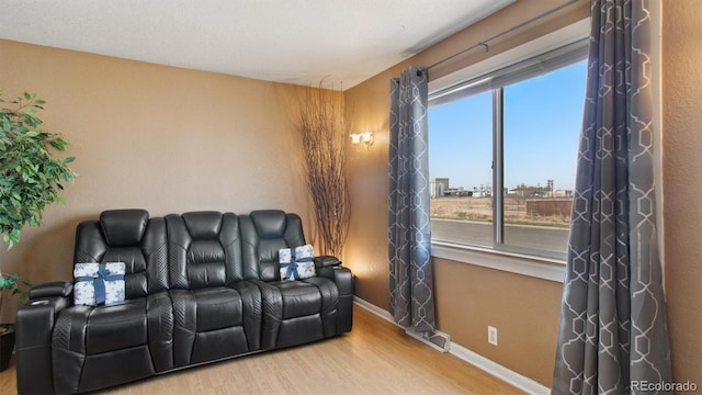 766 Fulton Ave, Brighton, CO 80601 - living room featuring wood finished floors and baseboards