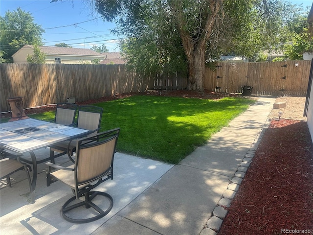 766 Fulton Ave, Brighton, CO 80601 - fenced backyard featuring a patio and outdoor dining area