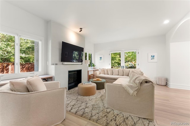 living room featuring light hardwood / wood-style floors