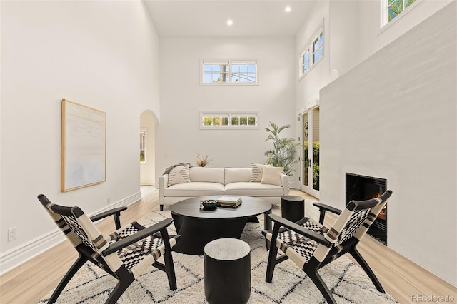 living room with a high ceiling and light hardwood / wood-style flooring