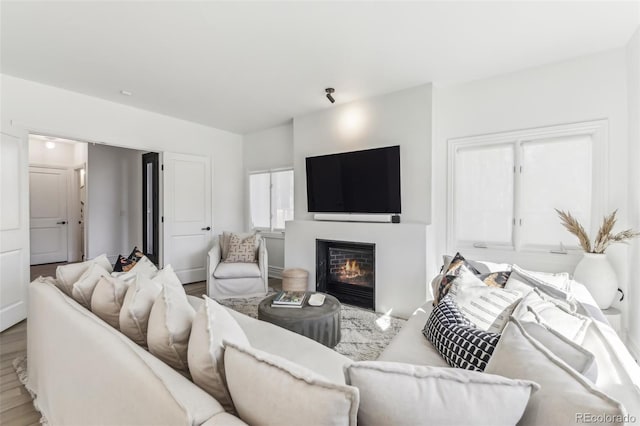 living area featuring a glass covered fireplace and wood finished floors