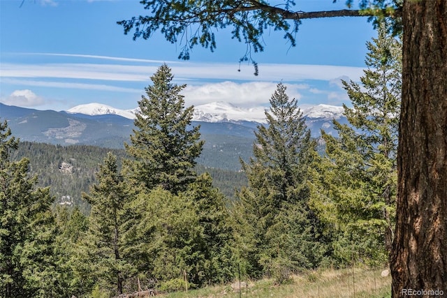 6350 Canyon Creek Rd, Evergreen, CO 80439