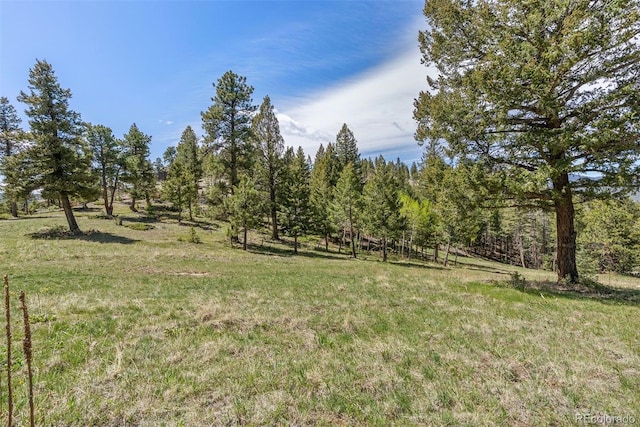 6350 Canyon Creek Rd, Evergreen, CO 80439