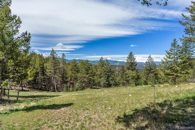 6350 Canyon Creek Rd, Evergreen, CO 80439
