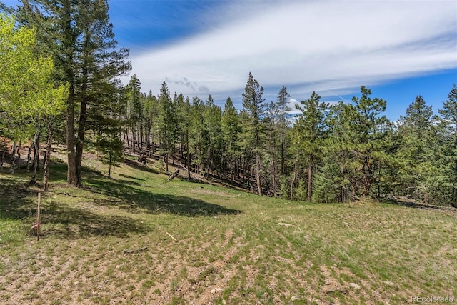 6350 Canyon Creek Rd, Evergreen, CO 80439