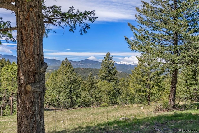 6350 Canyon Creek Rd, Evergreen, CO 80439