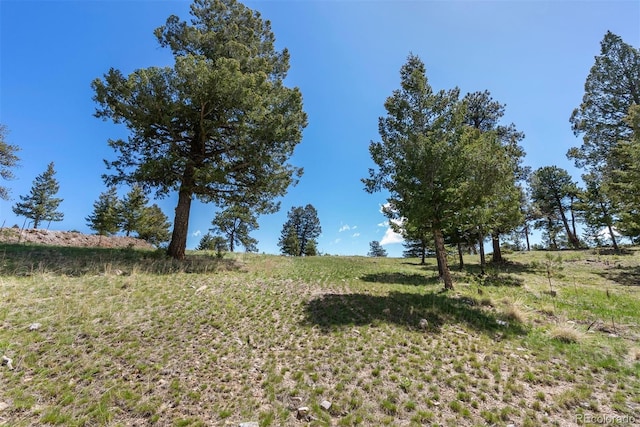 6350 Canyon Creek Rd, Evergreen, CO 80439