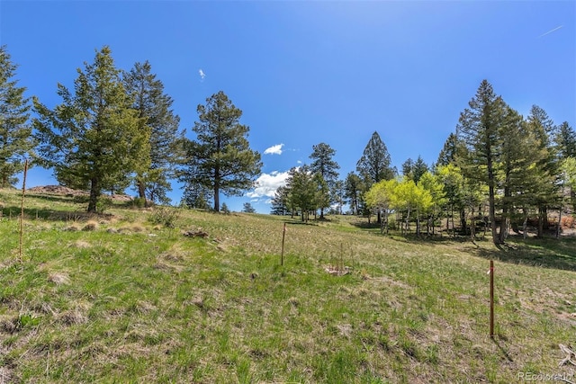 6350 Canyon Creek Rd, Evergreen, CO 80439