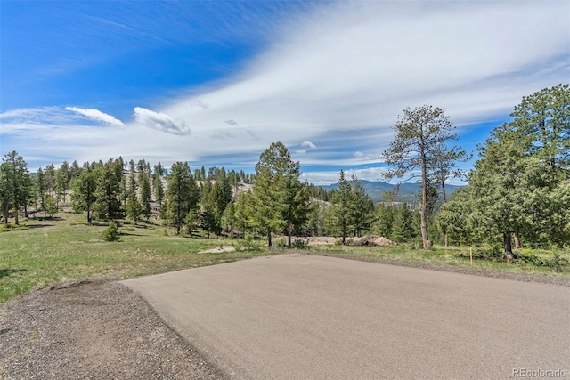 6350 Canyon Creek Rd, Evergreen, CO 80439