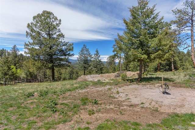6350 Canyon Creek Rd, Evergreen, CO 80439