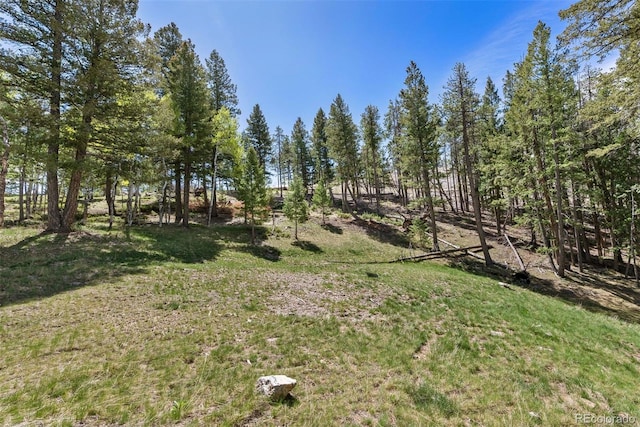 6350 Canyon Creek Rd, Evergreen, CO 80439
