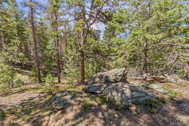 6350 Canyon Creek Rd, Evergreen, CO 80439