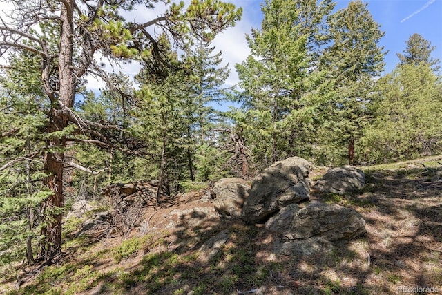 6350 Canyon Creek Rd, Evergreen, CO 80439