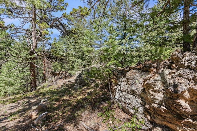 6350 Canyon Creek Rd, Evergreen, CO 80439
