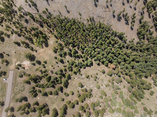 6350 Canyon Creek Rd, Evergreen, CO 80439