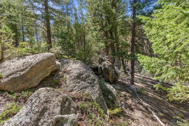 6350 Canyon Creek Rd, Evergreen, CO 80439