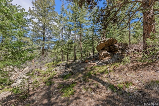 6350 Canyon Creek Rd, Evergreen, CO 80439
