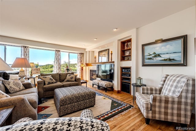 1820 Sapling Ct, Castle Rock, CO 80109 - living area with wood finished floors and a glass covered fireplace
