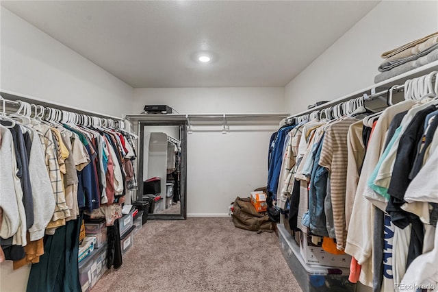spacious closet featuring carpet flooring