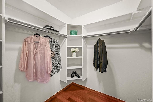1190 W 11th Ct, Broomfield, CO 80020 - view of spacious closet