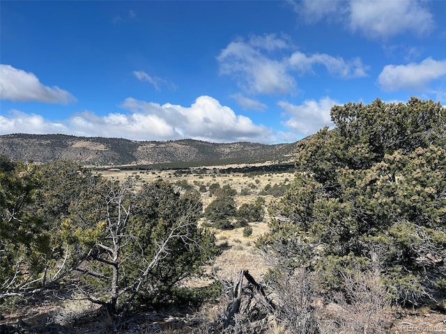 na County Road 43bb, Saguache CO, 81149 land for sale