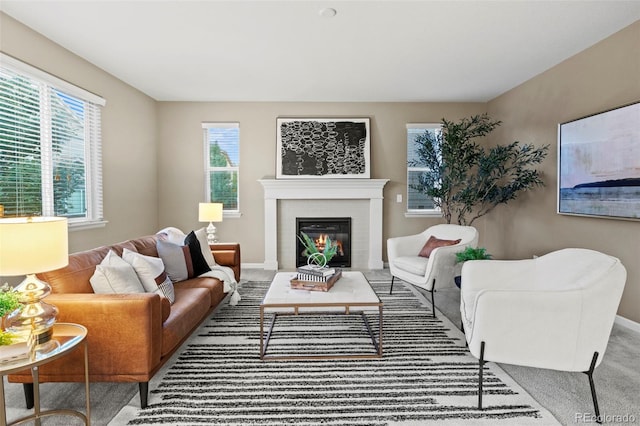 living room featuring a wealth of natural light and carpet