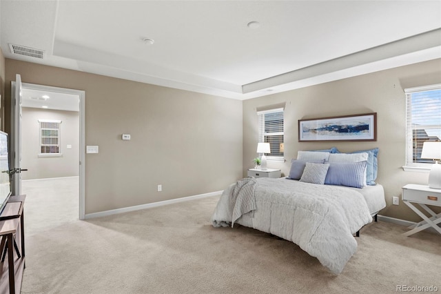 carpeted bedroom featuring a raised ceiling